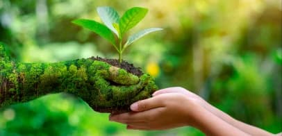 Sustainability Philosophy Hands