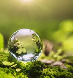 Sustainability Globe